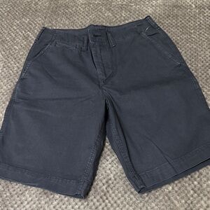 American Eagle Outfitters Men's Dark Navy Flat Front Shorts